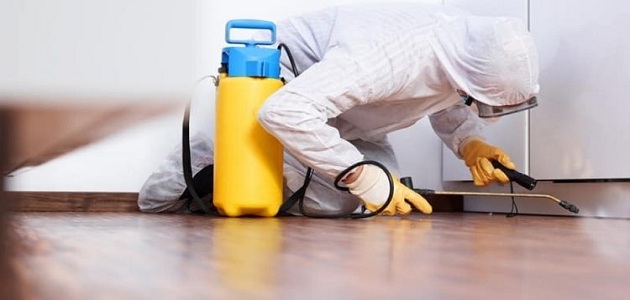 مكافحة الحشرات