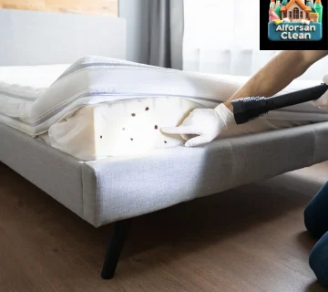 أسباب ظهور حشرة البق حشرات الفراش